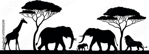 African, wildlife, silhouette, safari, animals, vector, illustration, elephants, calf, giraffe, lion, acacia, trees, savanna, landscape, black, white, nature, herd, travel
