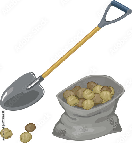 Shovel, sack of potatoes and potatoes isolated on white backgroun