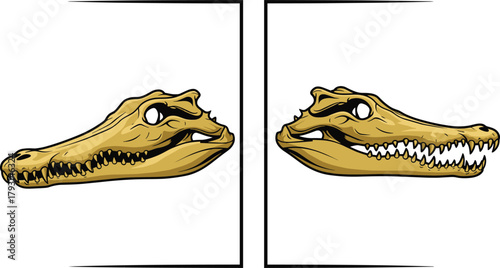 Crocodile skull fossil illustration, ancient reptile bone drawing, prehistoric skeleton art, educational vector showing crocodile head bones for science and biology concept