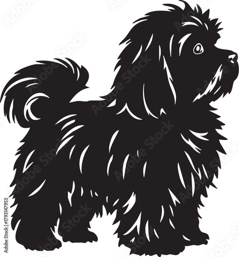 Fluffy Small Dog Silhouette Vector Illustration | Havanese Maltese Shih Tzu Puppy Pet Portrait