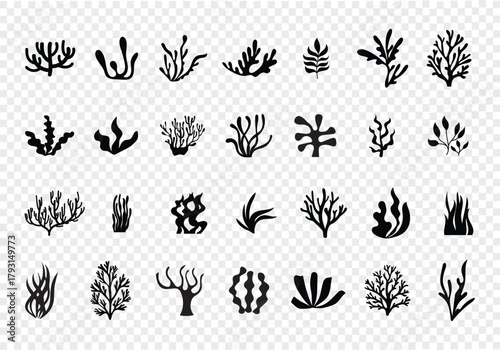 Seaweed and coral silhouette Vector Set, black vector icon. Weed plant, ocean reef fish, underwater 
Underwater Marine Plant Silhouettes and Ocean Life Illustration