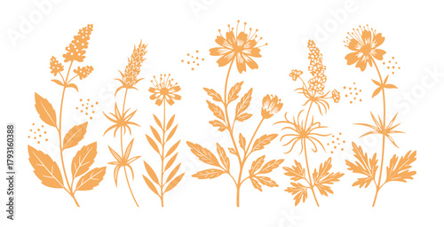 A view of flowers and herbs set against a white backdrop. Stylized design. Green foliage and shoots. Pink blossoms. Simple decorative elements. Lines, dots, and petals. Printmaking technique. Ornament