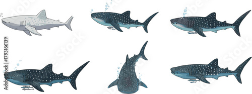 Whale shark underwater illustration, majestic ocean fish swimming with bubbles, marine wildlife drawing, realistic aquatic animal art for sea lovers