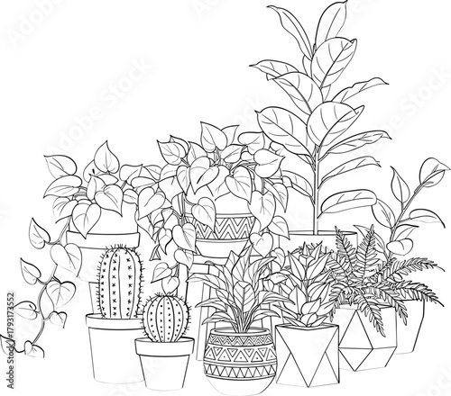 A detailed line drawing of a variety of potted houseplants arranged together