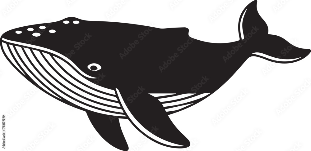 Fototapeta premium Humpback whale, dark graphic silhouette vector illustration