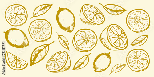 Hand drawn golden yellow lemon slices and whole fruits with leaves on a light cream background