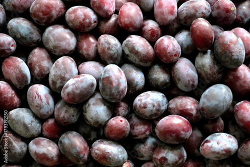 Fresh ripe plums in bunches