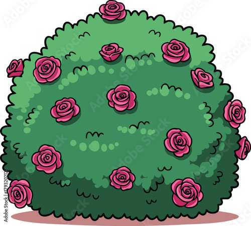 Rose bush with blooming pink flowers in green foliage vector illustration for garden and nature design elements 