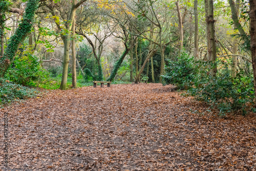 Scadbury Park in the Autumn near Petts Wood, south-east London, England