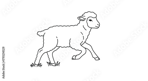 A delightful line art illustration of a playful lamb frolicking in the springtime grass and enjoying the fresh air.