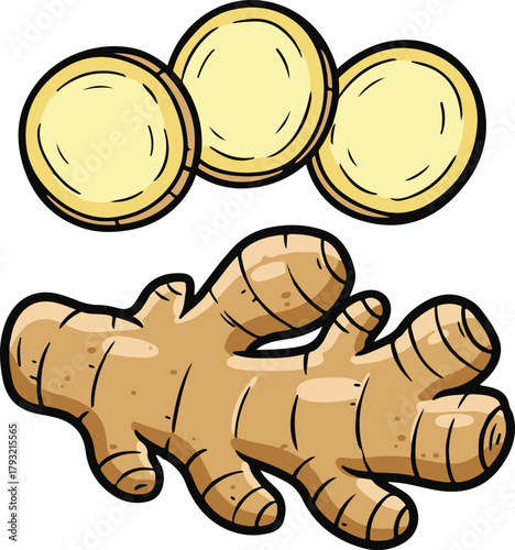Whole and sliced ginger root, cartoon kitchen ingredient vector illustration
