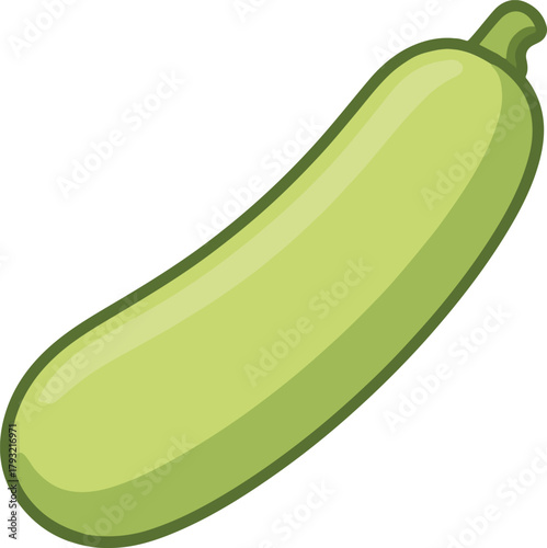 Light green courgette, fresh cartoon vegetable vector illustration