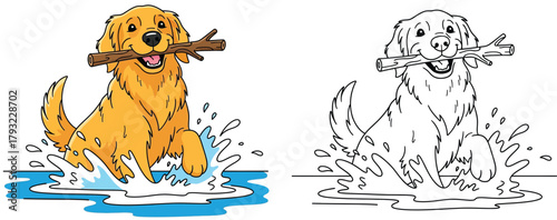 Golden Retriever playing in water holding stick cartoon illustration with matching black and white coloring page for kids