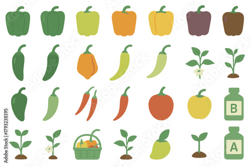 Colorful pepper varieties and plant growth stages with garden icons