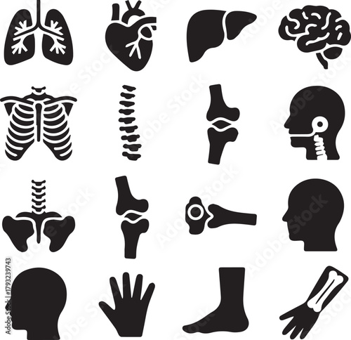 Collection of black silhouette icons of human organs and bones lungs heart