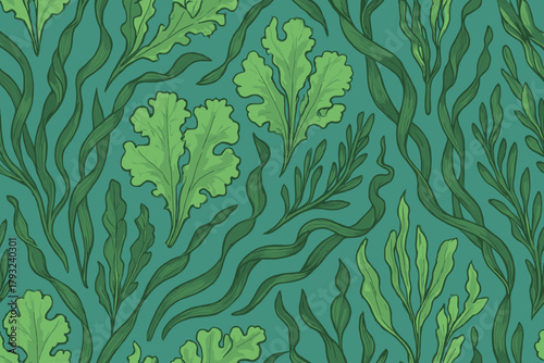 Seamless pattern of hand-drawn seaweed and algae on teal