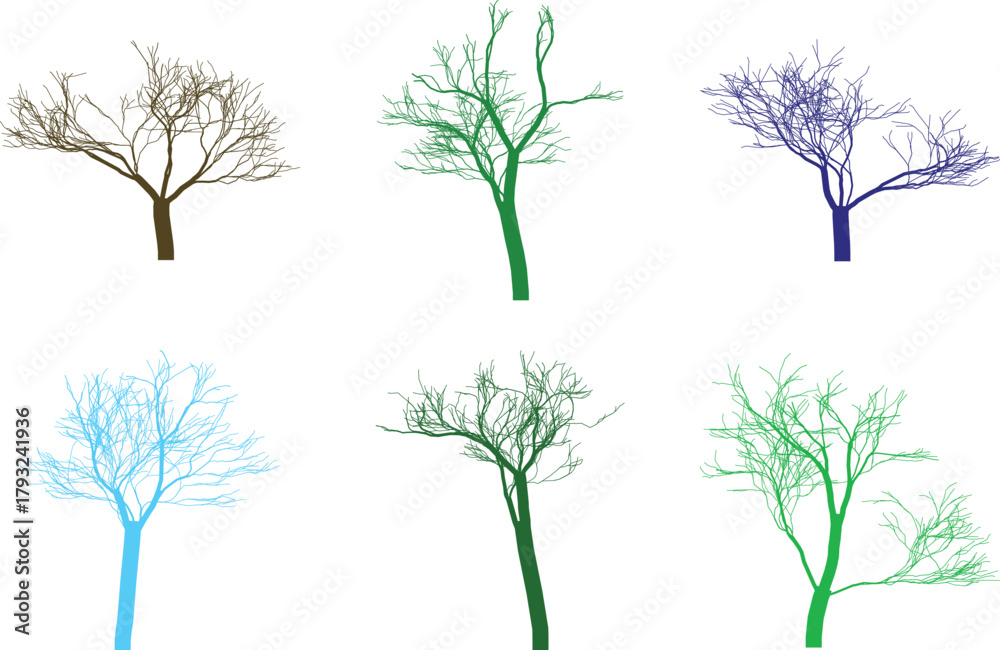 Obraz premium Colorful Bare Tree Silhouettes on White Background Botanical Illustration Set
