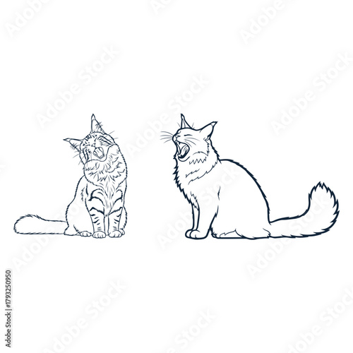 Maine coon cat yawning line art set, rendered in a black line strock, Pet cat Lover.