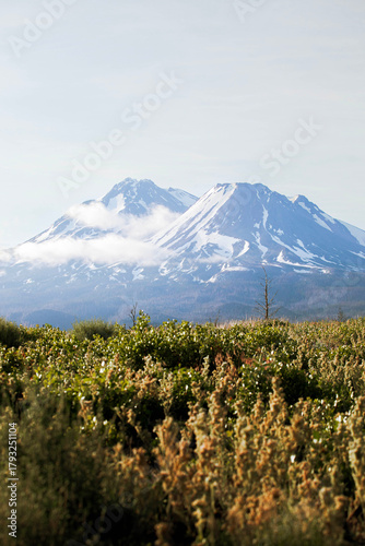 Mt Shasta