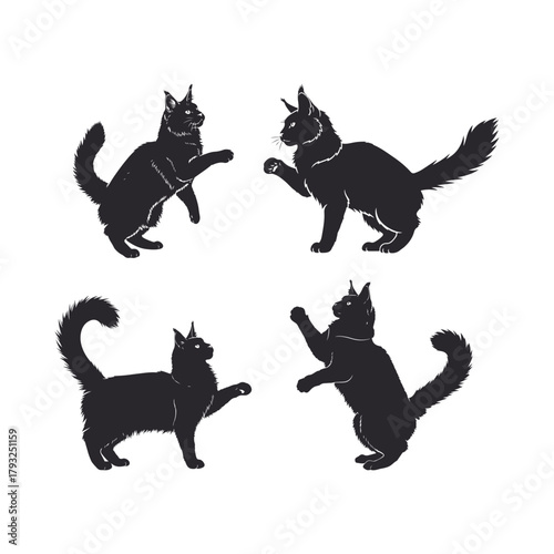 Maine coon cat silhouette in four different poses, standing, reaching, and playing, playful feline collection, Pet cat Lover.