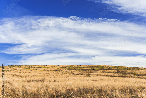 秋のススキ草原　霧ヶ峰高原