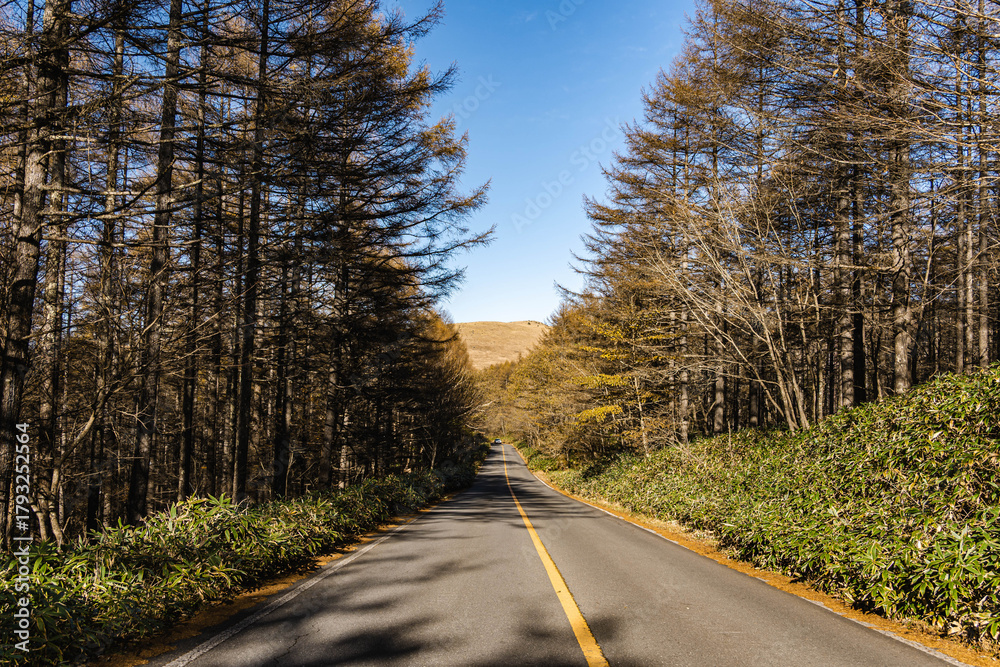 Obraz premium 霧ヶ峰から八島湿原へのビーナスライン