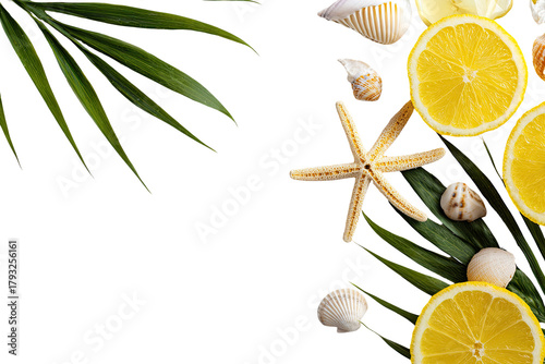 Tropical fruit and seashell arrangement on black background.  Fresh, vibrant yellow lemon slices, various seashells, and tropical palm fronds create a summery design.  