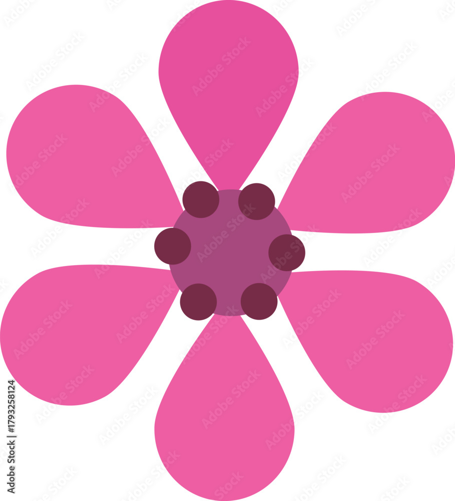 Fototapeta premium Web