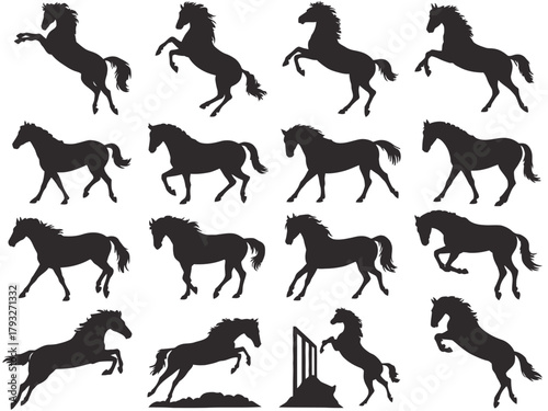 Silhouettes of horses in various poses and actions are displayed in a grid.