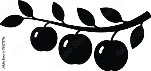 Illustrator Three apples on a branch with leaves Silhouette vector