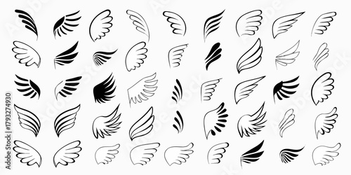 Collection of diverse hand drawn black and white wing outlines and silhouettes on a white background