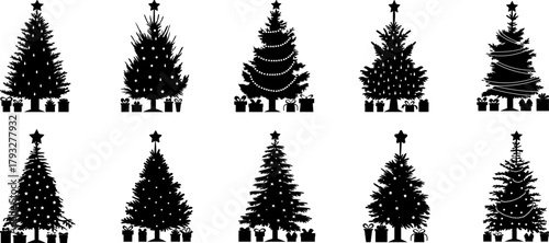 A vector set of wheat ears and fir tree branches for winter holiday celebration design