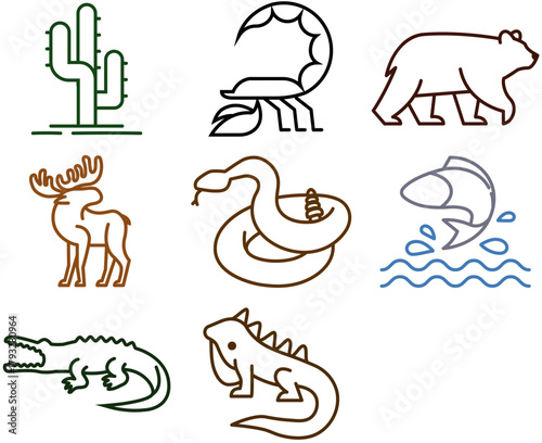 Lineal animals and cactus icons, minimal ilustration of animals from desert.