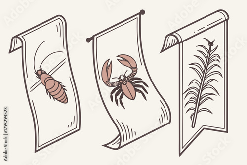 Paper curl banners se