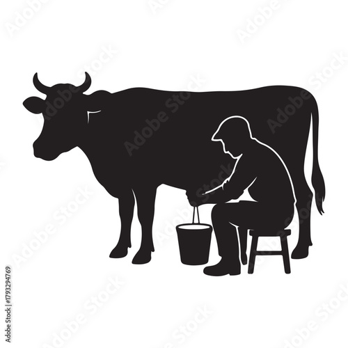 man milking a cow