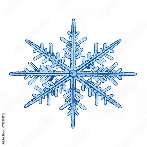 Detailed Macro Photograph of Blue Snowflake

