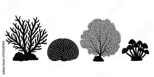 Four Black Silhouettes of Marine Life and Fungi coral