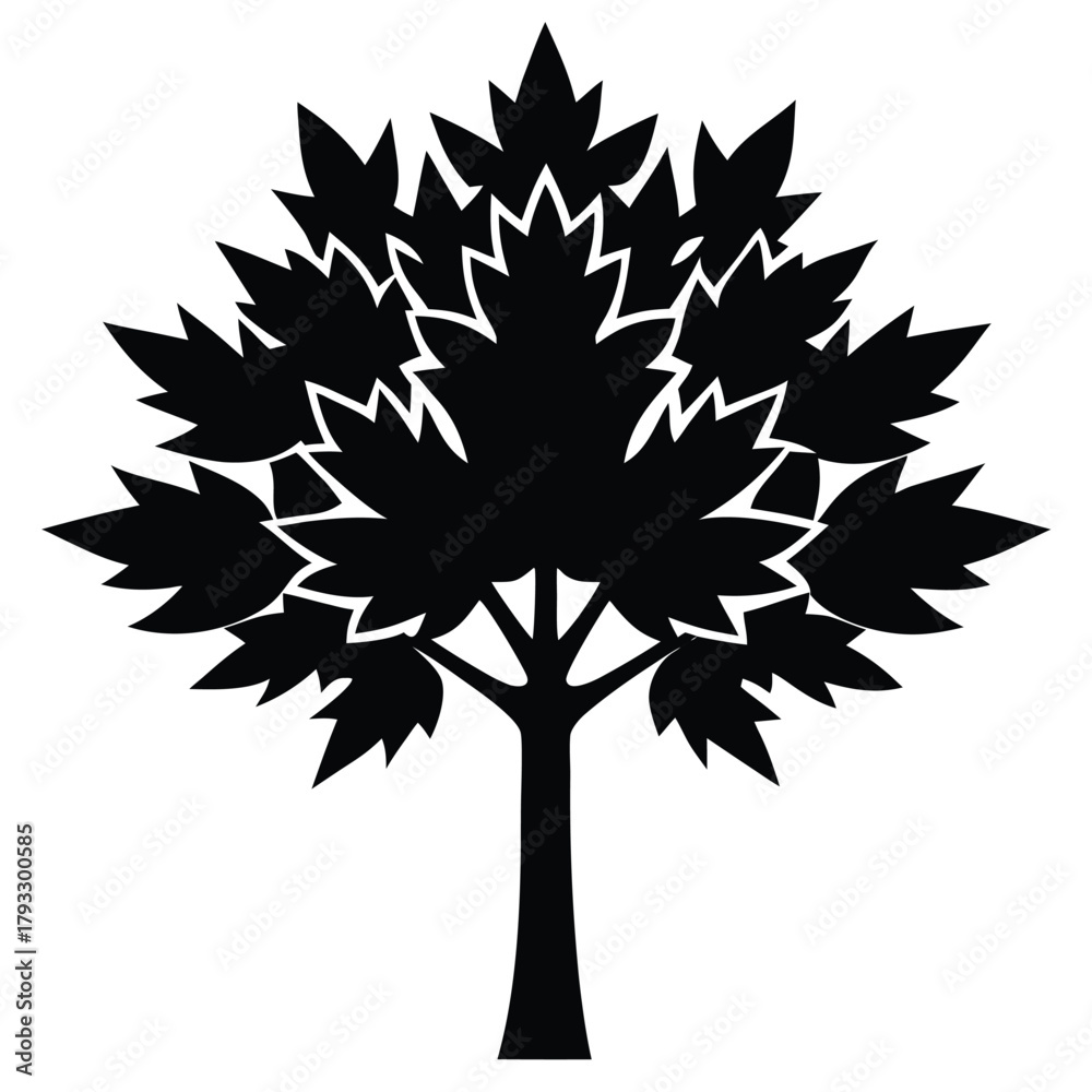 Obraz premium maple tree vector icon