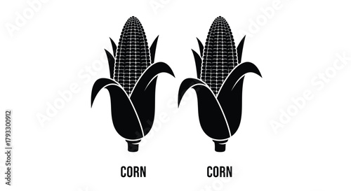 Two black and white corn cobs with green husks a simple illustration