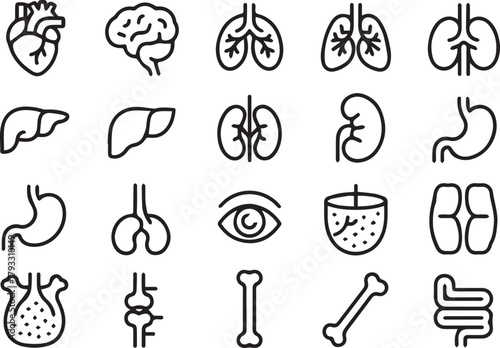 Human Anatomy and Healthcare Outline Icon Mega Set  Internal Organs Surgery and Diagnosis Line Art Collection