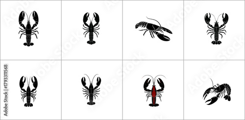 Silhouette of lobster, marine animal