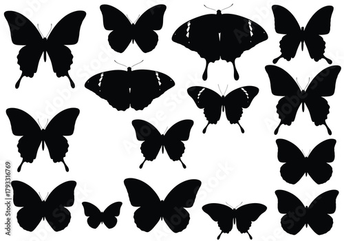 Collection of black butterfly silhouettes against a plain white background