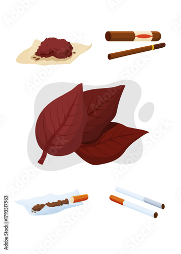 Tobacco leaves and products stock illustration