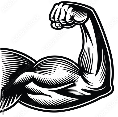 Line art illustration of a strong arm, biceps, and fist symbolizing strength and muscle body vector