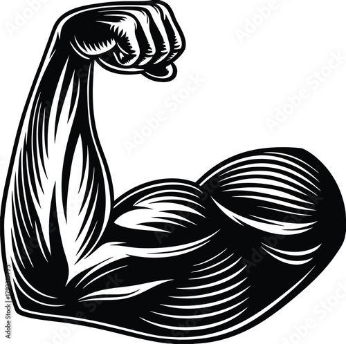 Line art illustration of a strong arm, biceps, and fist symbolizing strength and muscle body vector