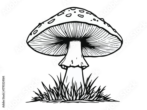 Mushroom black and white line art vector illustration