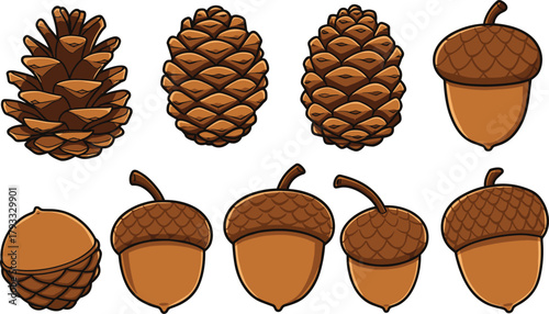 Pine cones, acorns, botanical illustration, forest seeds, nature drawing, autumn elements, woodland sketch, educational art, seasonal decor, tree nuts