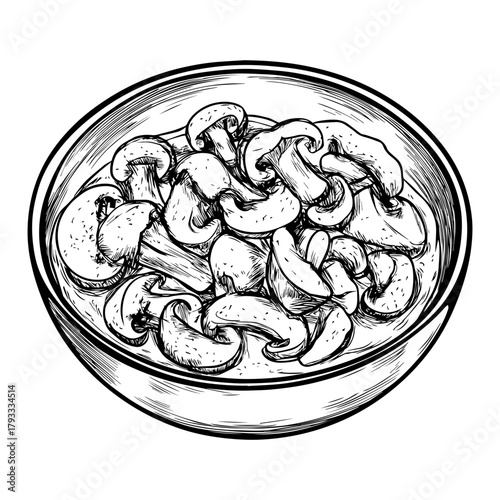 Hand Drawn Beef Stroganoff Sketch Illustration – Classic Food Art