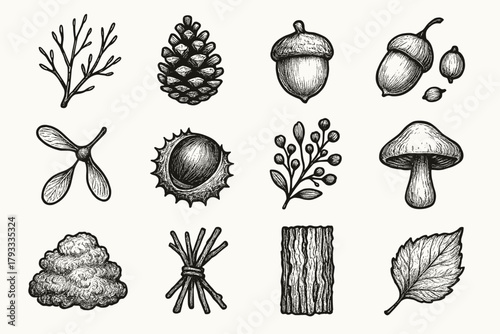 Botanical mushroom set twig sprig leaf acorn icon vector chestnut branch patch