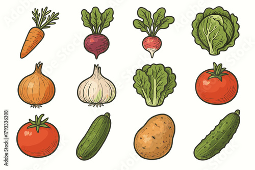 Tomato bulb zucchini lettuce icons beetroot onion fresh icon vector turnip farm